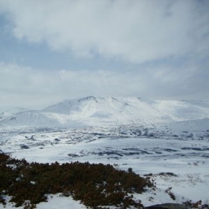 Kamchatka nature
