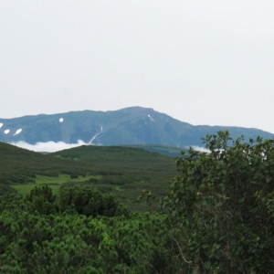 Kamchatka nature