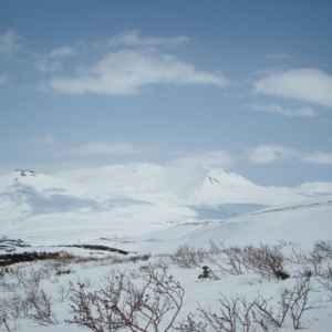 Kamchatka nature