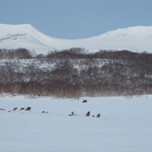 Kamchatka nature
